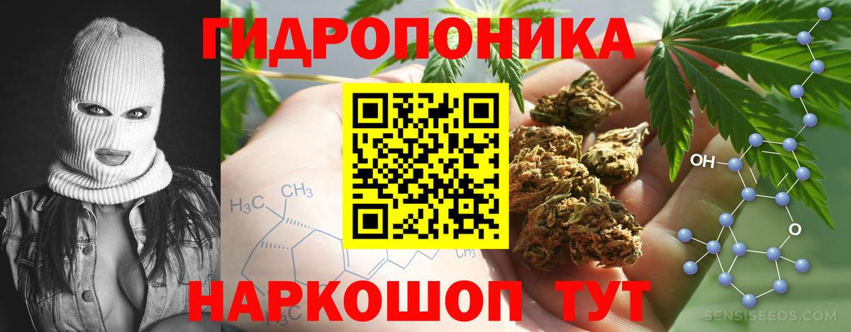 Канабис план  Бошки марихуана Ganja  Сыктывкар  Вход с VPN 